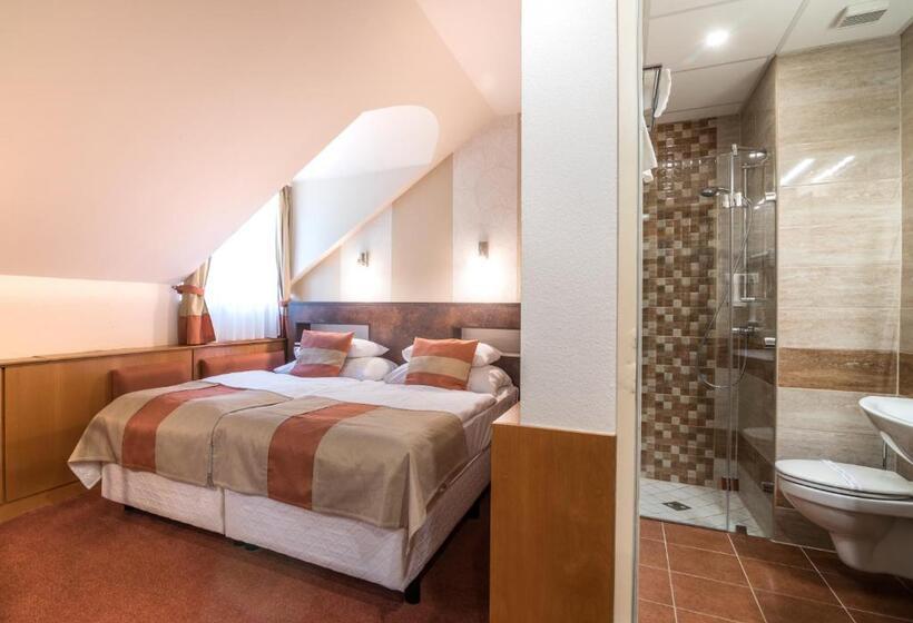 이코노미 룸, Spa Hévíz