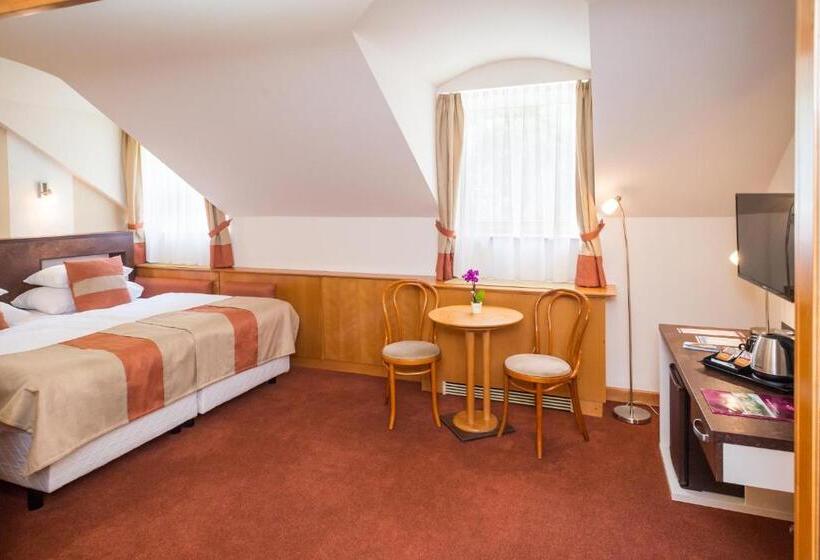 이코노미 룸, Spa Hévíz