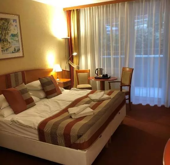 اتاق استاندارد در طبقه همکف, Spa Hévíz