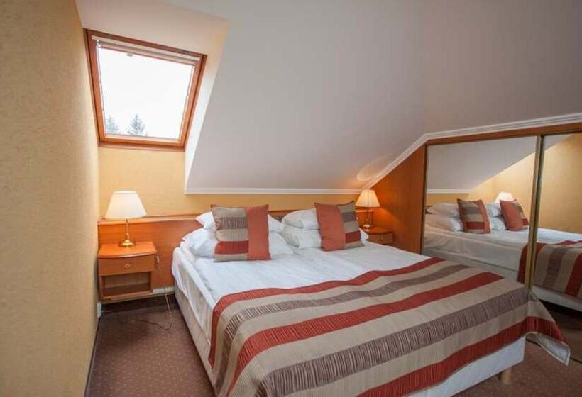 이코노미 룸, Spa Hévíz