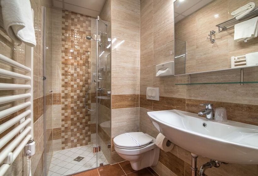 이코노미 룸, Spa Hévíz