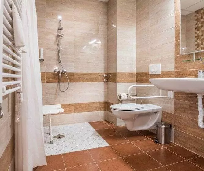 اتاق کلاسیک یک تخته, Spa Hévíz
