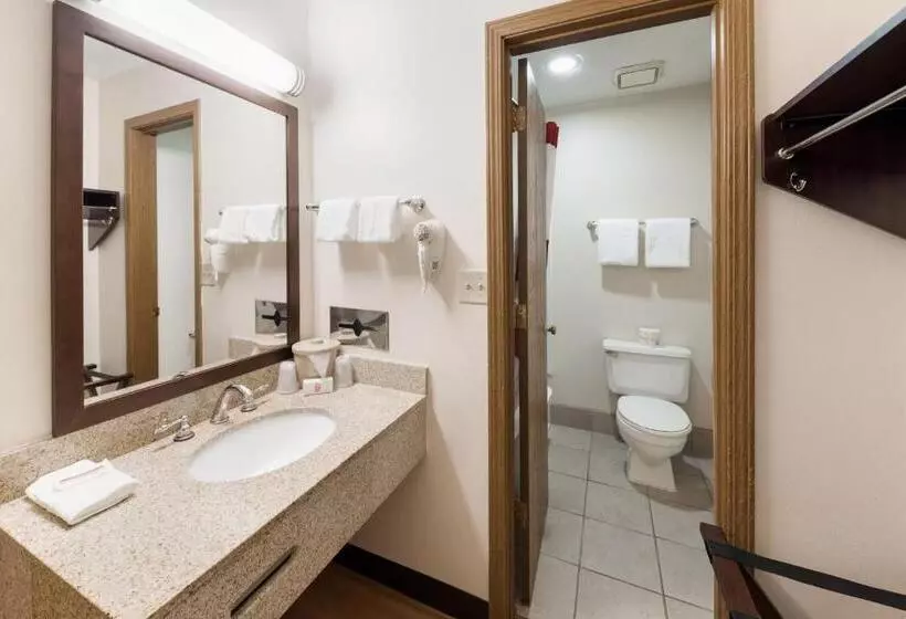 キングサイズベッドのスーペリアルーム, Red Roof Inn Fort Wayne