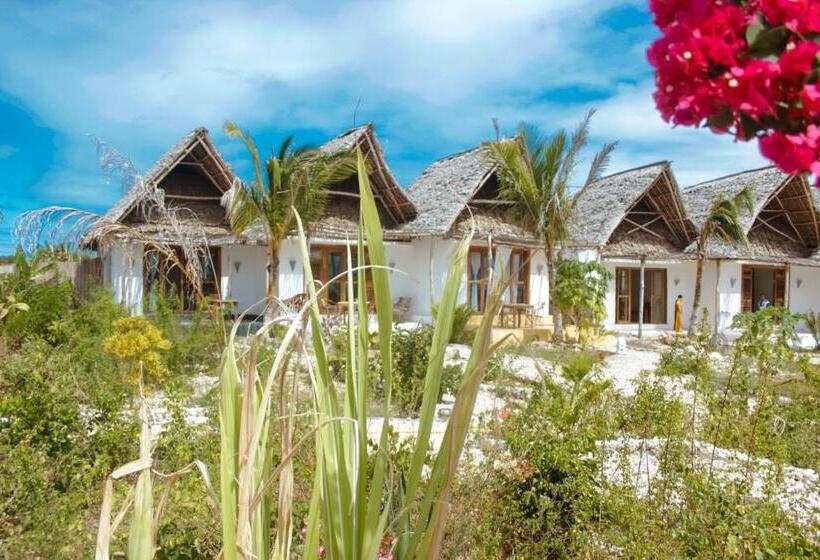 디럭스 룸 바다 전망, Kusini Beach Bungalows