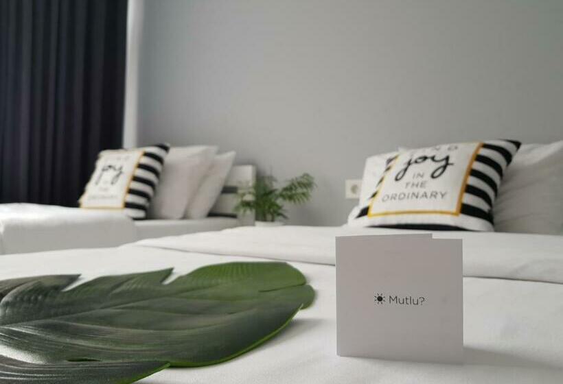 اتاق اکونومی, Erdem Pension