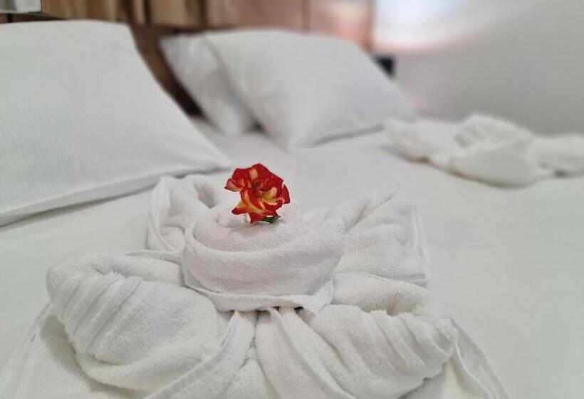 استودیوی استاندارد, Vila Hercegovka