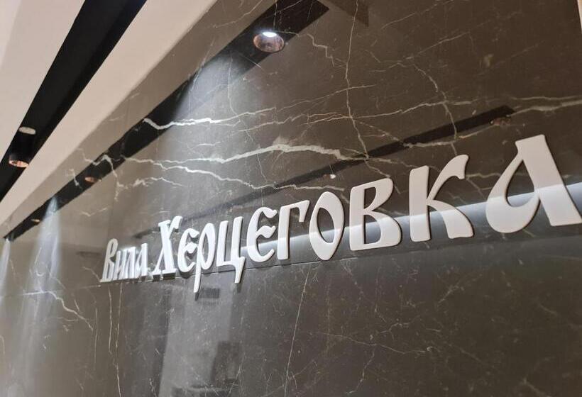 اتاق استاندارد با تراس, Vila Hercegovka