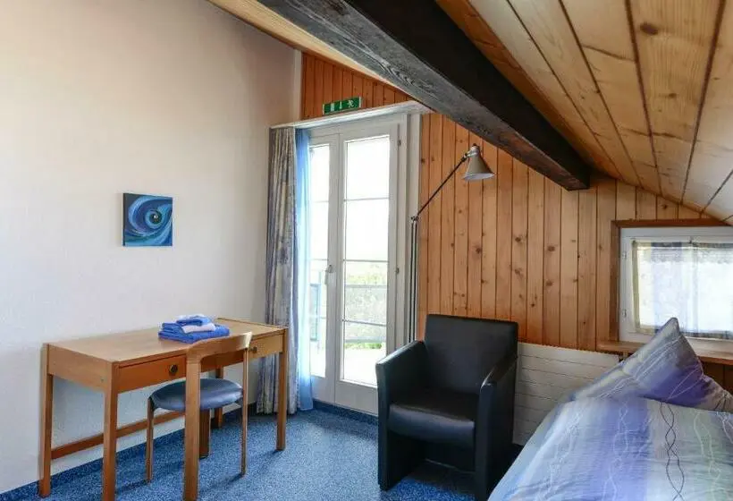 バルコニー付きシングルスタンダードルーム, Guesthouse Sonnegg