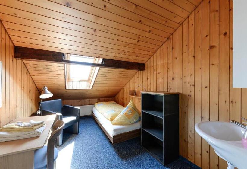 Одноместный Номер Basic, Guesthouse Sonnegg