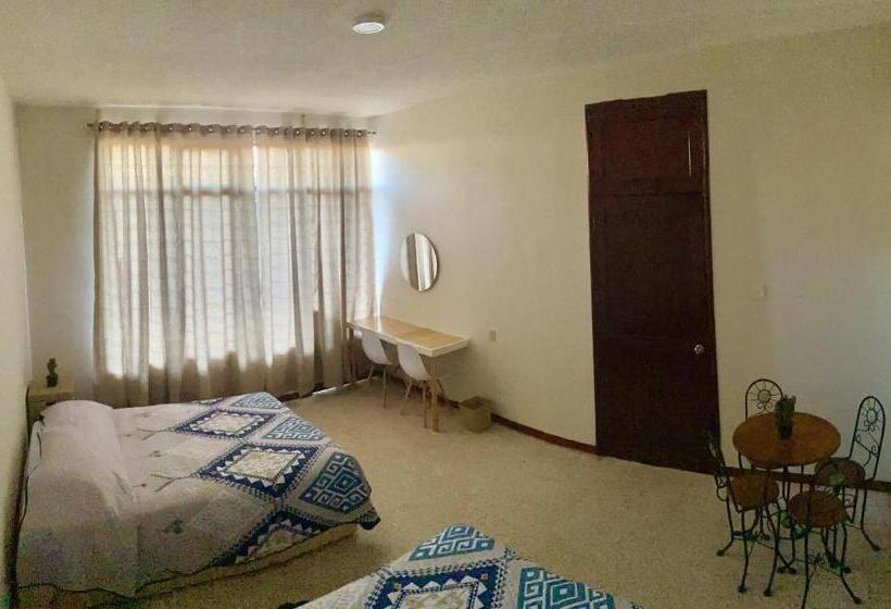 اتاق استاندارد چهارنفره با سرویس بهداشتی مشترک, Casa Cempoal