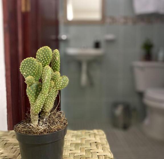 اتاق استاندارد با تخت بزرگ, Casa Cempoal