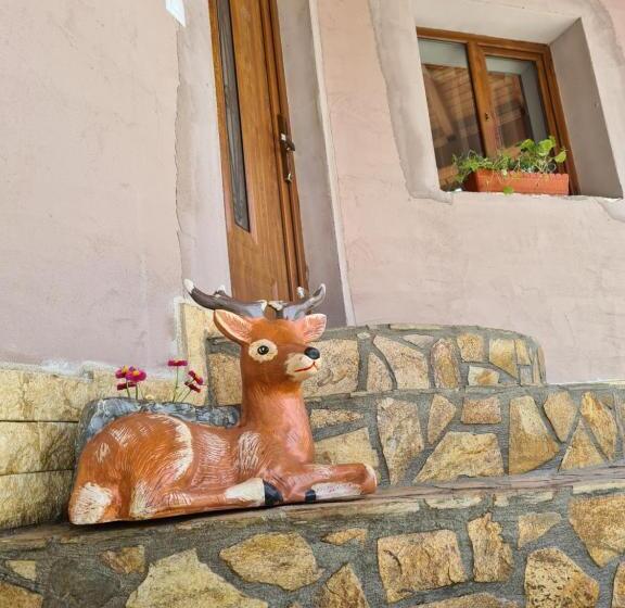 标准间, Casa Hera