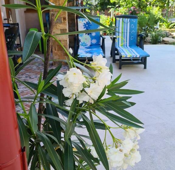 4间卧室的房子, Casa Hera