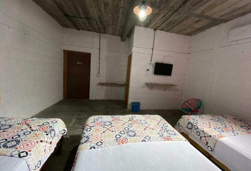 스탠다드 트리플 룸, Mesón Carranza