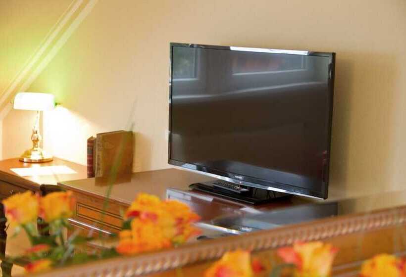 스탠다드 룸, Ambassador Potsdam