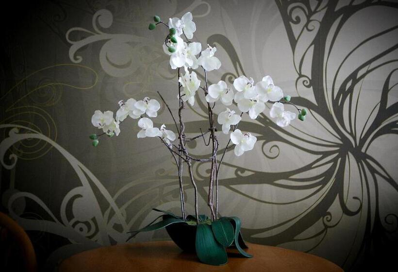 标准间带阳台, Neuwarft