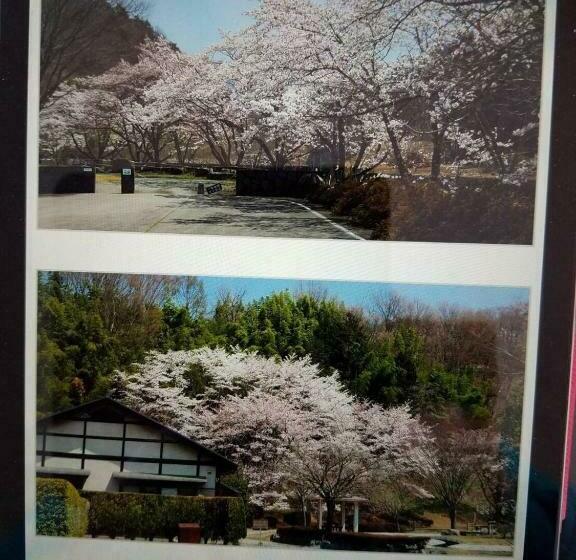 1ベッドルームハウス, Siawase No Yado Shared With Host Vacation Stay 68283v