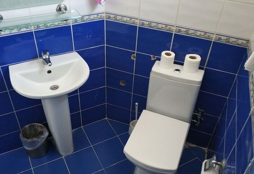 スタンダードシングルルーム, Akkus