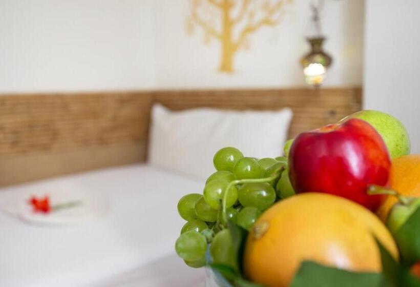 غرفة قياسية فردية, Art Hotel Simona