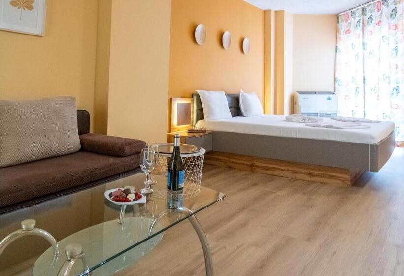 إستوديو قياسى, Art Hotel Simona