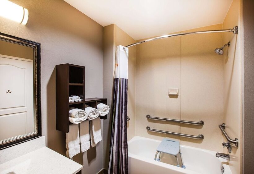 اتاق دلوکس مخصوص معلولین, La Quinta By Wyndham Baton Rouge Denham Springs