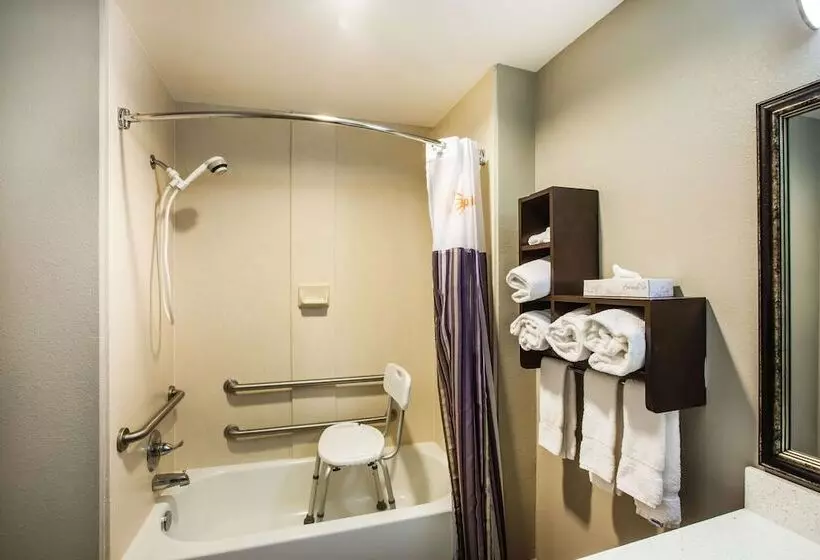 障害者適応デラックスルーム, La Quinta By Wyndham Baton Rouge Denham Springs