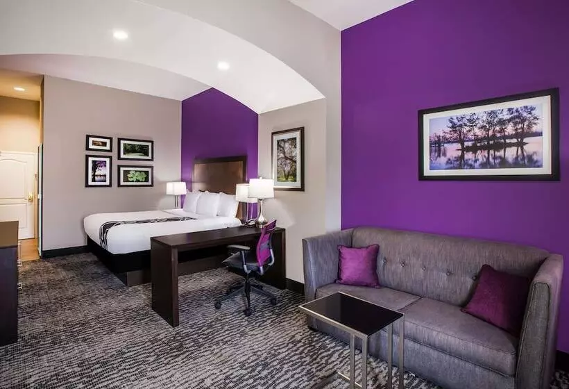 障害者適応デラックスルーム, La Quinta By Wyndham Baton Rouge Denham Springs