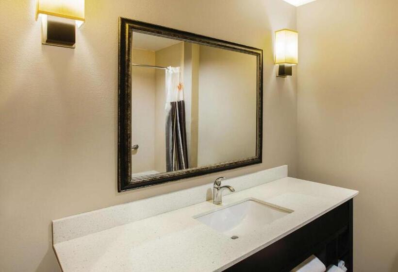 스탠다드 룸, La Quinta By Wyndham Baton Rouge Denham Springs