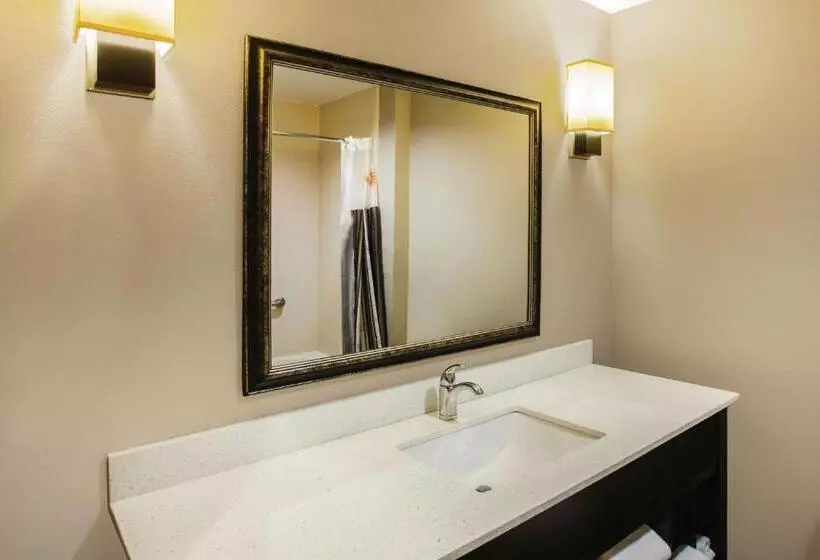 キングサイズベッドのエクゼクティブルーム, La Quinta By Wyndham Baton Rouge Denham Springs