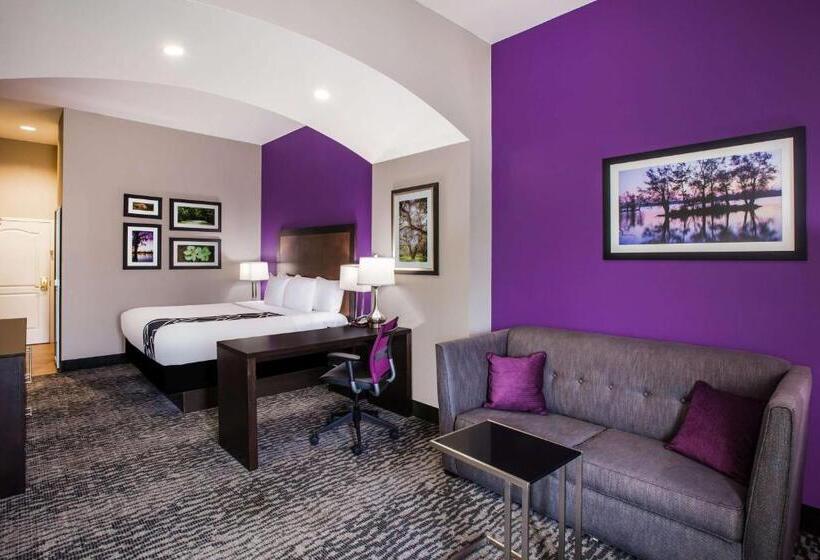이그제큐티브 룸 킹사이즈 침대, La Quinta By Wyndham Baton Rouge Denham Springs
