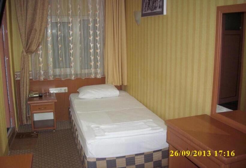 标准单人间, Saray