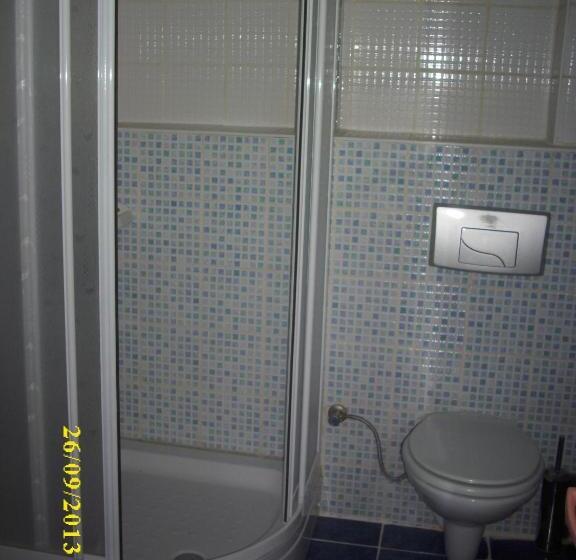 标准单人间, Saray