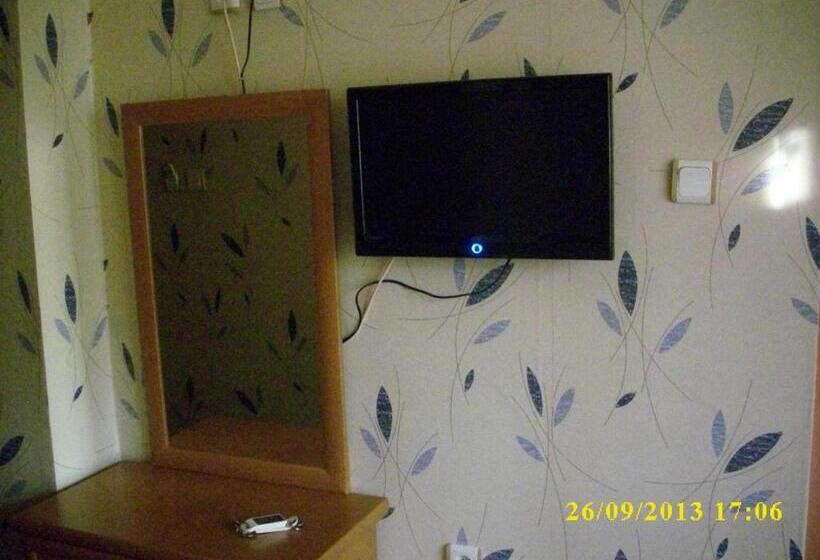 标准单人间, Saray