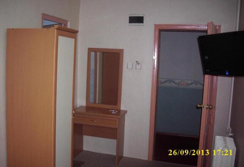 标准单人间, Saray