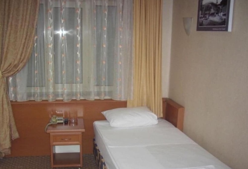 标准单人间, Saray