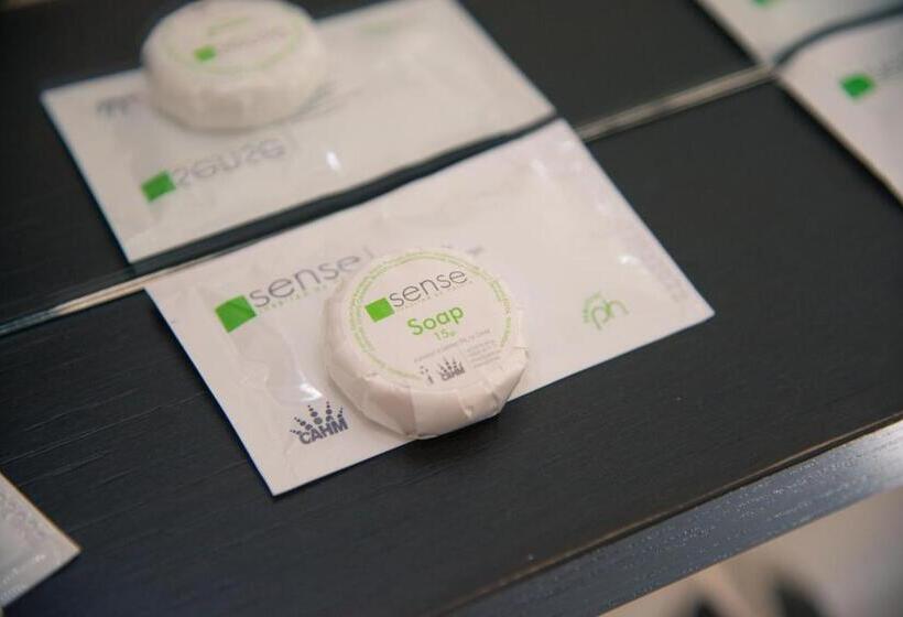 两卧家庭套房, Stefani