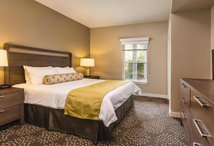 شقة غرفتين, Worldmark Windsor