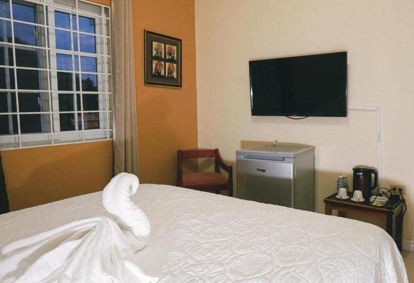 اتاق استاندارد با تخت بزرگ, Incognito Culture Rooms