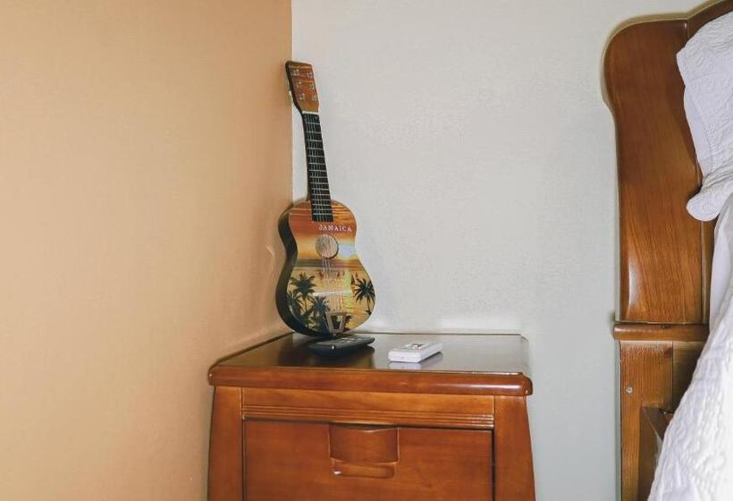 اتاق استاندارد با تخت بزرگ, Incognito Culture Rooms