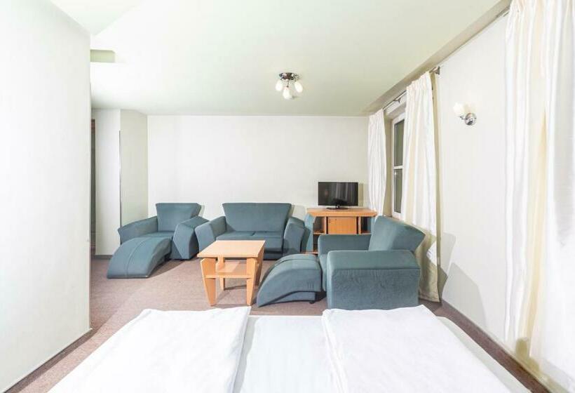 اتاق استاندارد, Basanavičiaus G. 45 Apartments