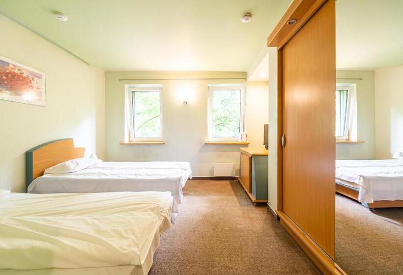 اتاق کلاسیک چهارنفره, Basanavičiaus G. 45 Apartments