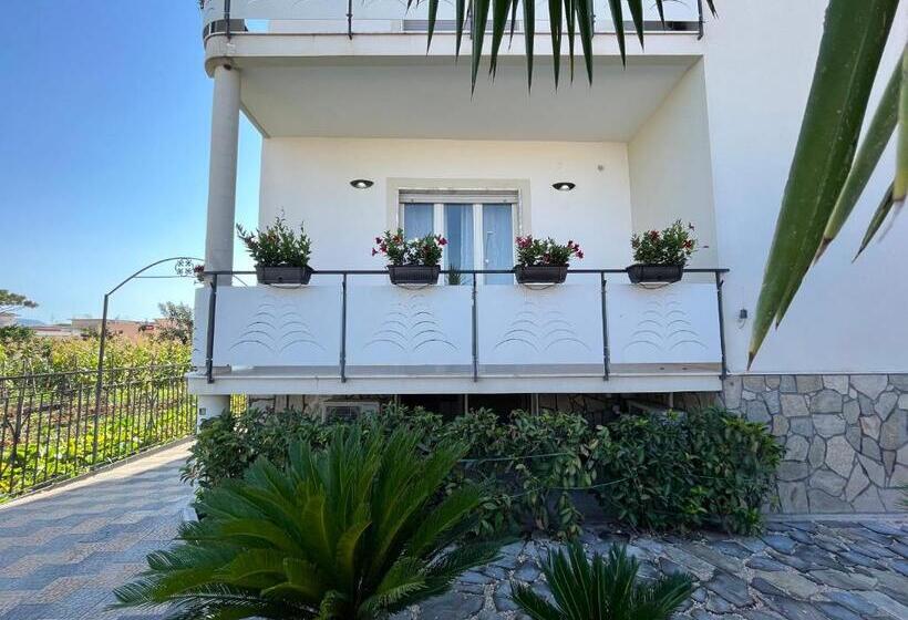 اتاق لوکس با بالکن, Pompeii S Treasures