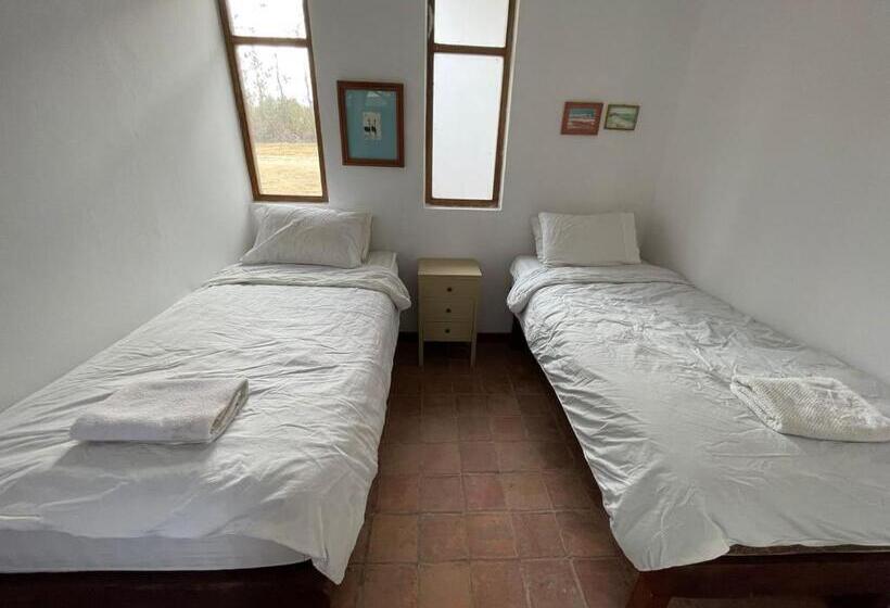 سوئیت با تخت بزرگ, Poneloya