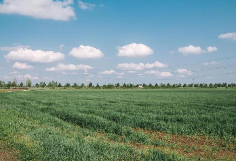 חדר משפחתי, Mela E Pera