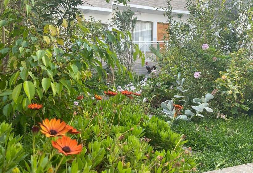 デラックスルーム, Pacífic Suites Tocopilla