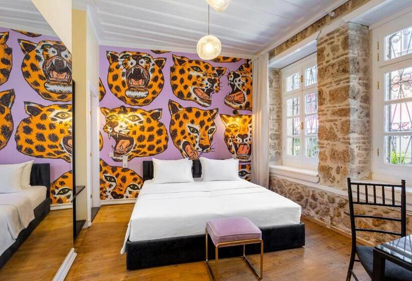 اتاق استاندارد با چشم‌انداز باغ, Palmenhaus Antalya