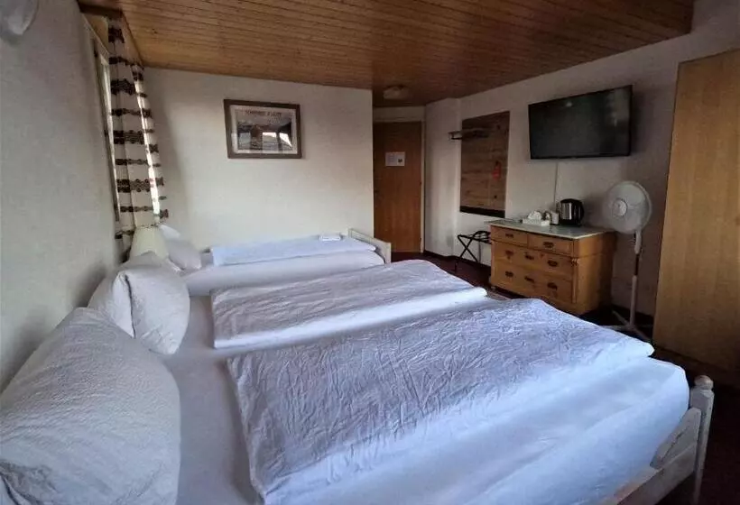 Standard Kolmen Hengen Huone, Alpenrose Hotel And Gardens