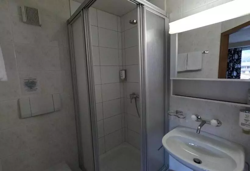 Standard-huone Parveke, Alpenrose Hotel And Gardens