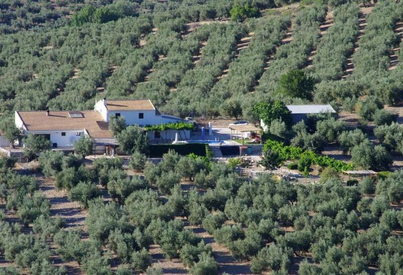 스탠다드 싱글 룸, B&b Lasnavillasmm