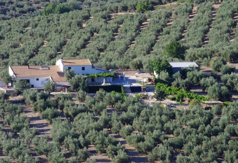 스탠다드 룸, B&b Lasnavillasmm